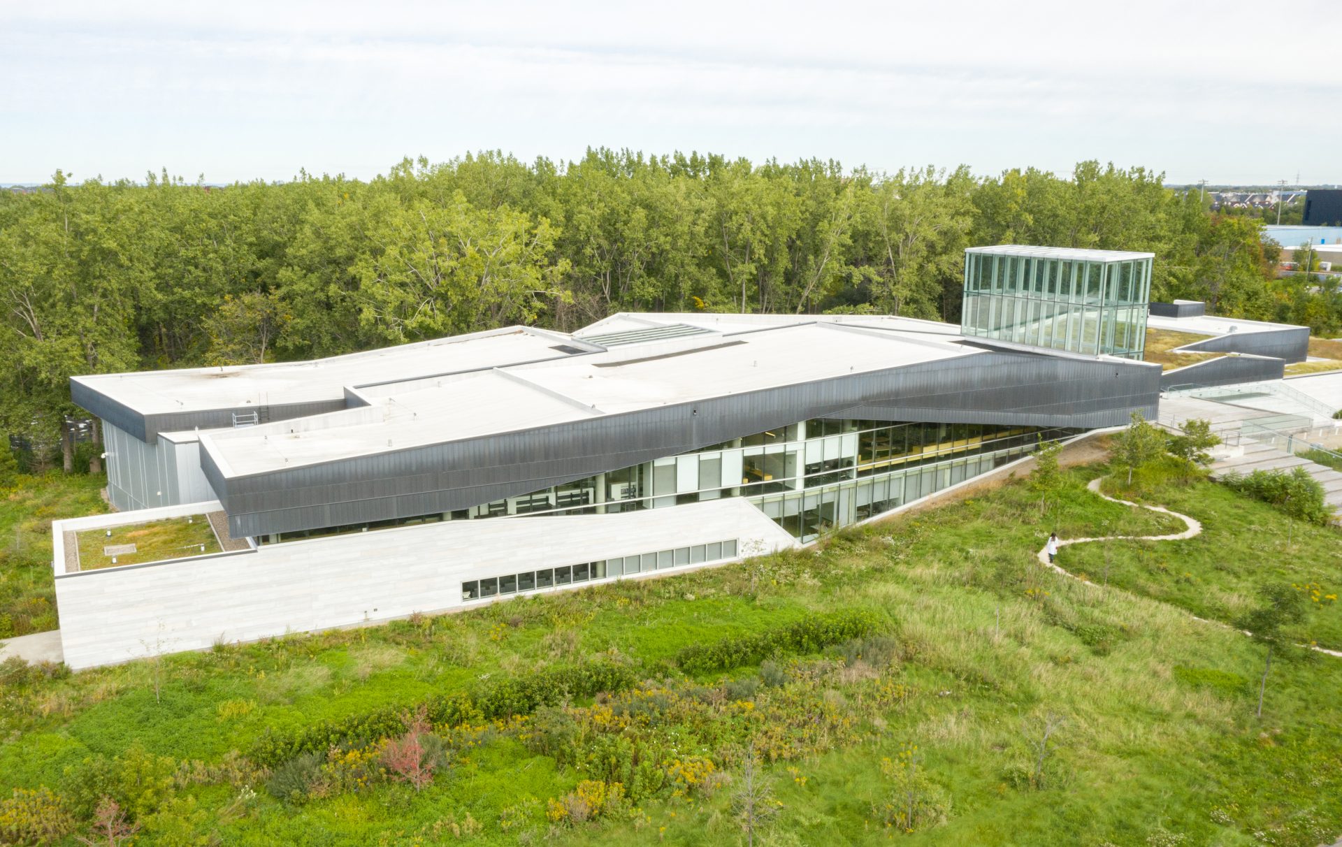 lemay-architecture-bibliotheque-duboise-montreal-library-design-vue-de-haut-davidboyer