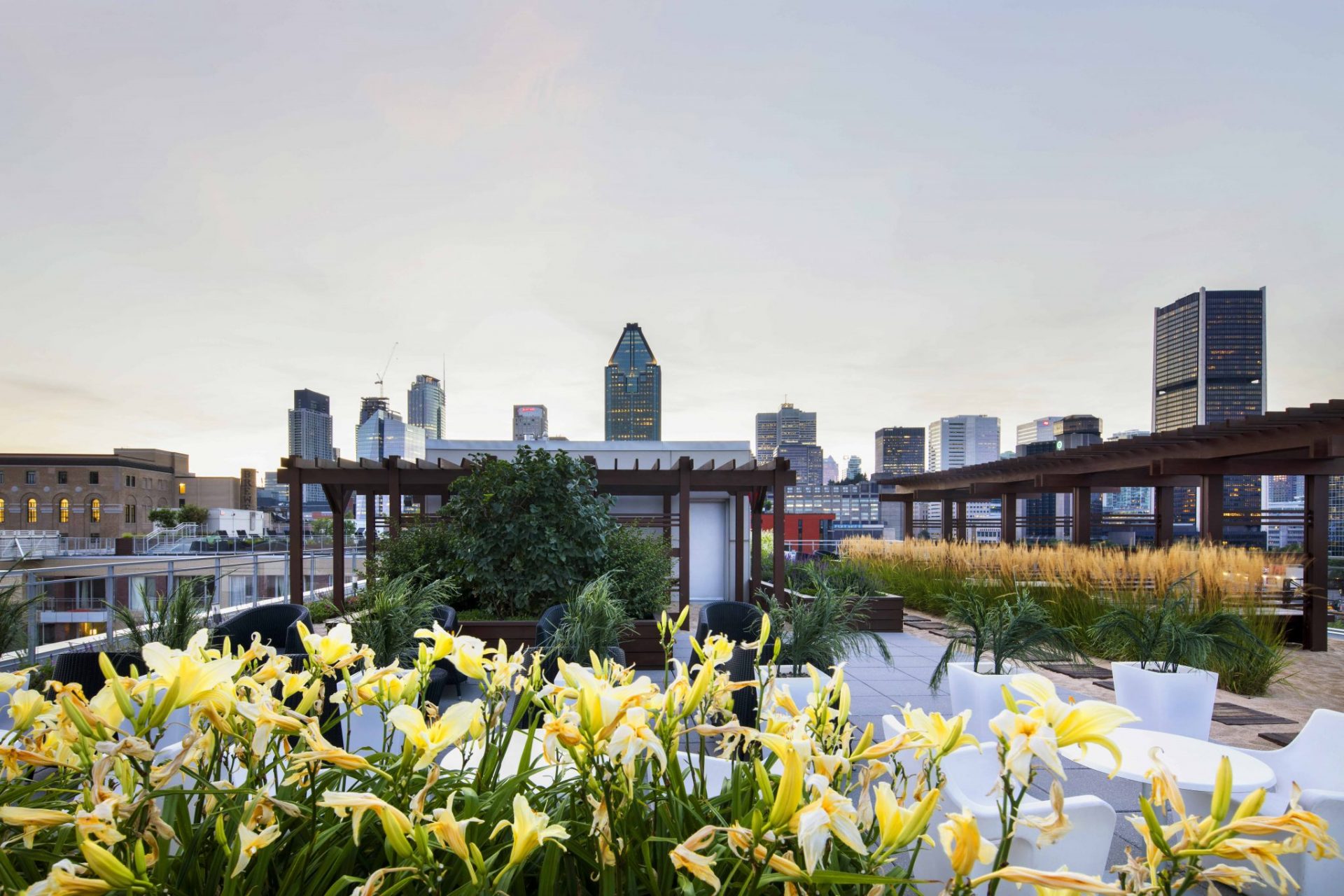 lowney-sur-ville-Griffintown-residential-Lemay-architecture-design-3
