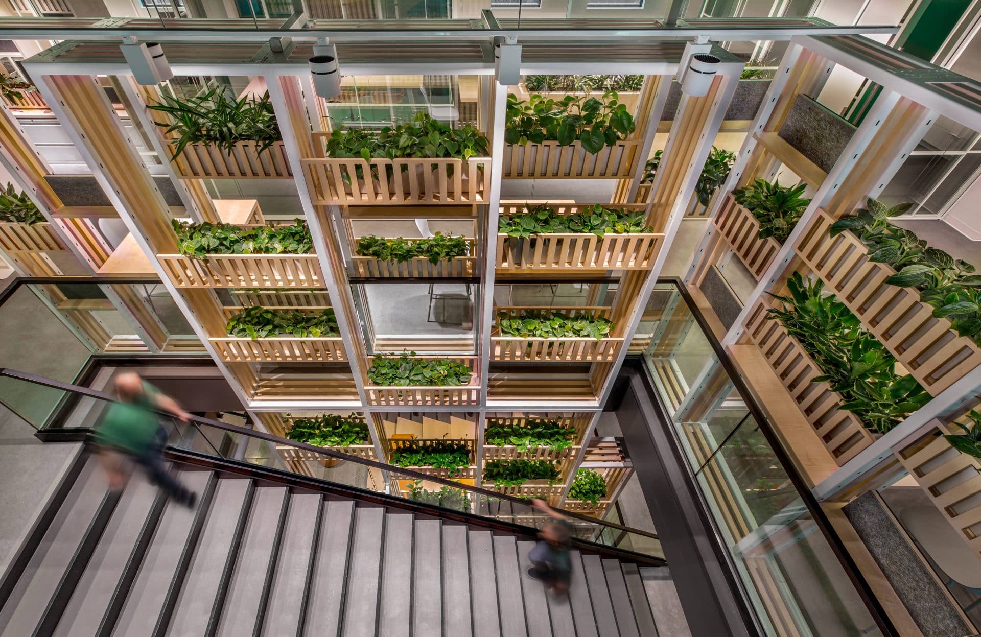 Bonduelle-Office-Biophilic-Brossard-Lemay-Architecture-Design-credit_Claude-SimonLanglois_Stairs
