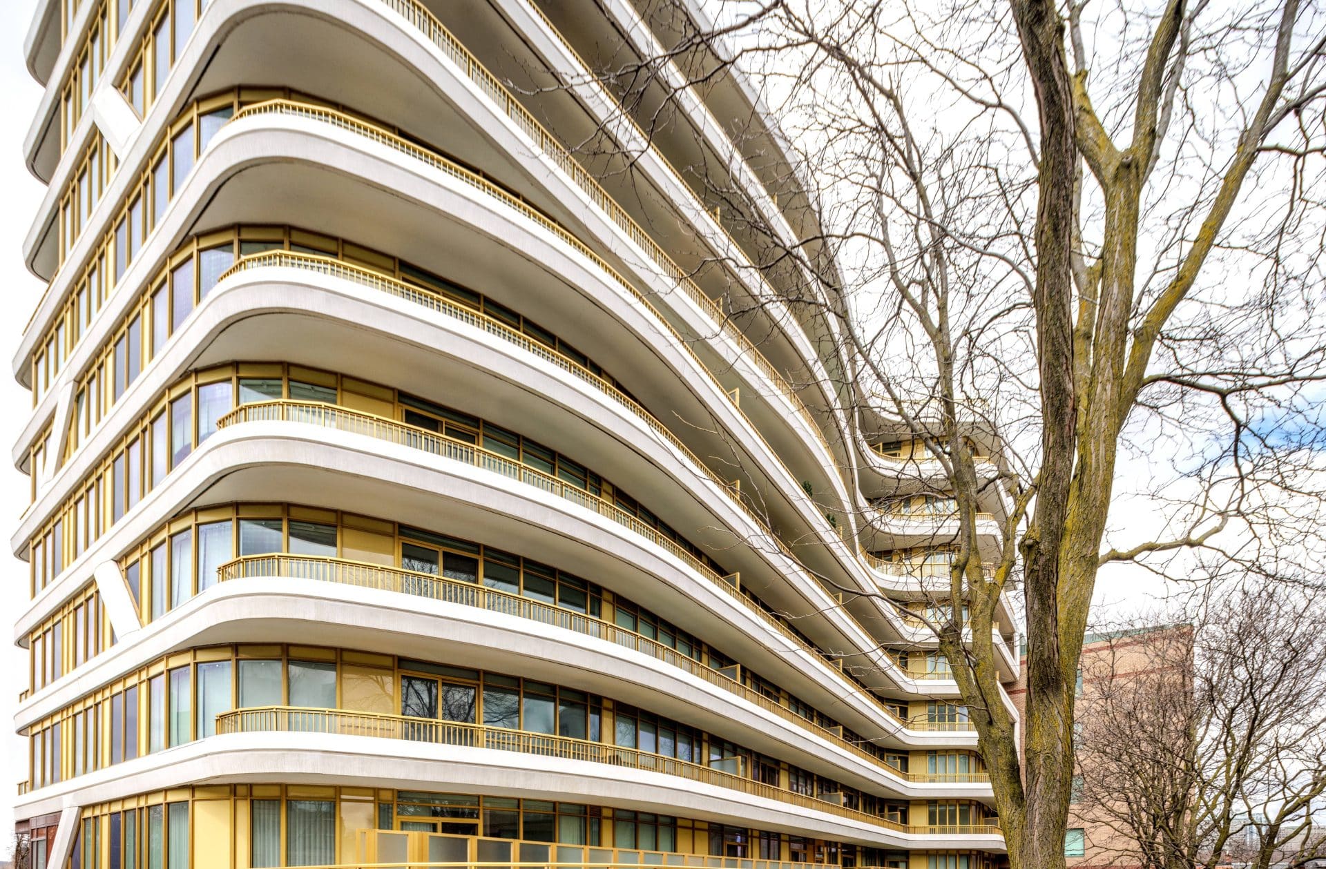 151-Avenue-Road_Toronto_Lemay_Architecture_Design_SalinaKassam-4
