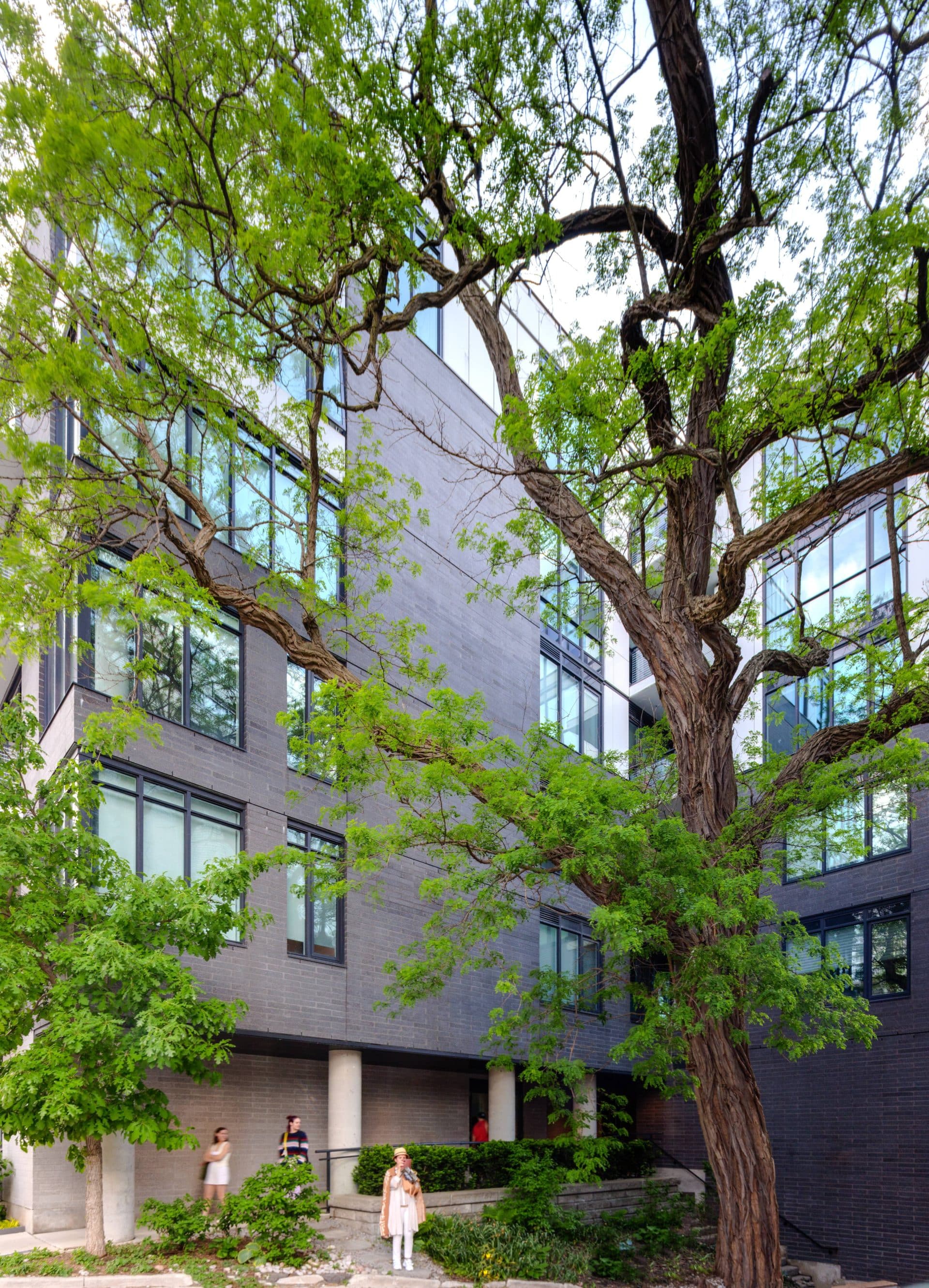 southwood-toronto-lemay-architecture-design-salina-kassam-1