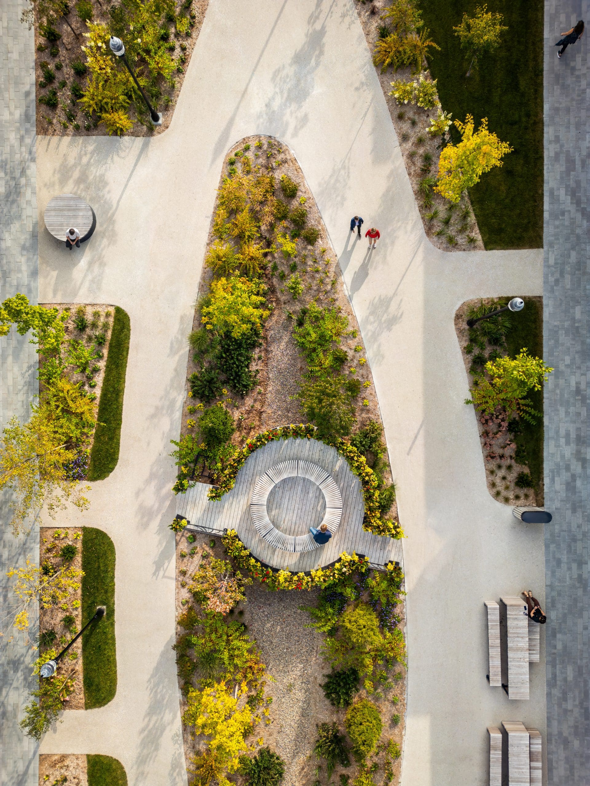 Avenue-des-Lumieres-Brossard-Lemay-credit-Vincent-Brillant (10)